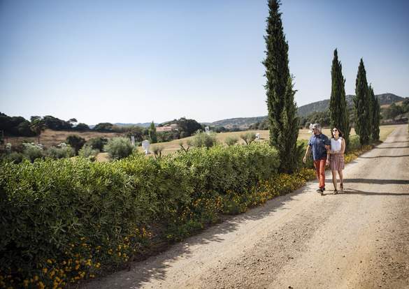 Windstar Cruises Enrichment 4.jpg